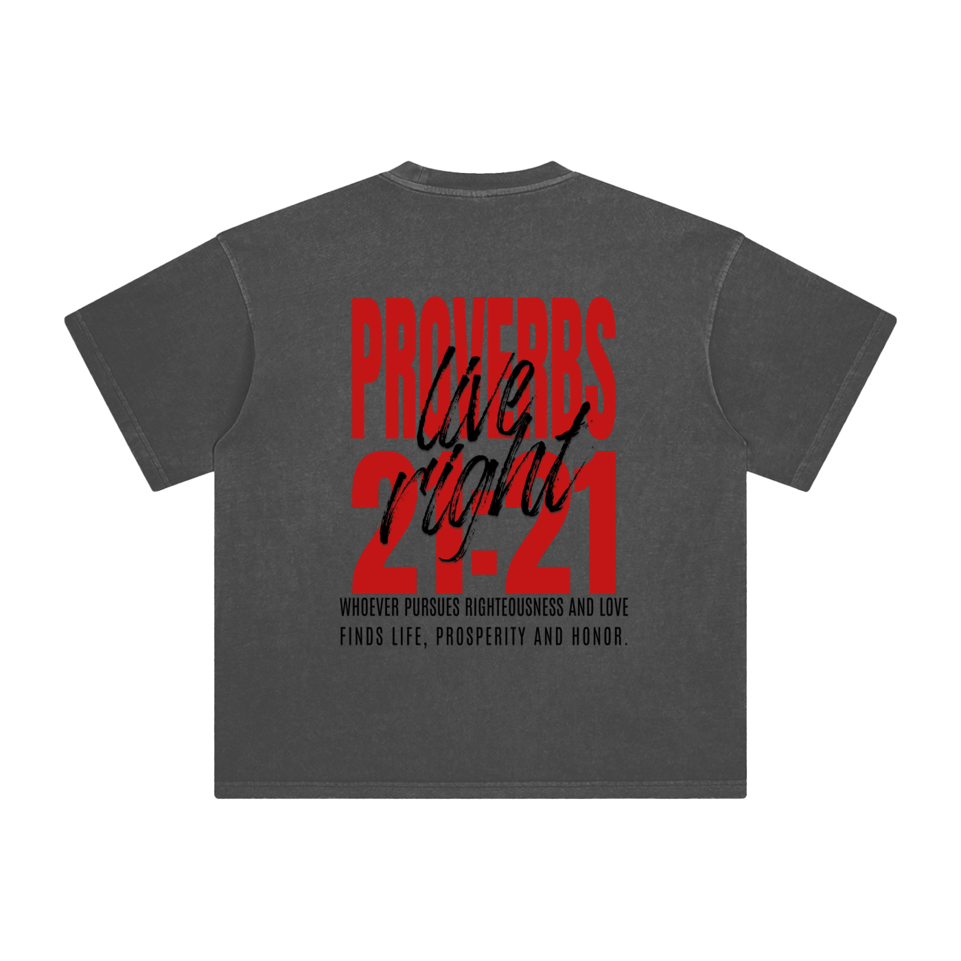 Proverbs 21:21 Vintage Washed T-Shirt