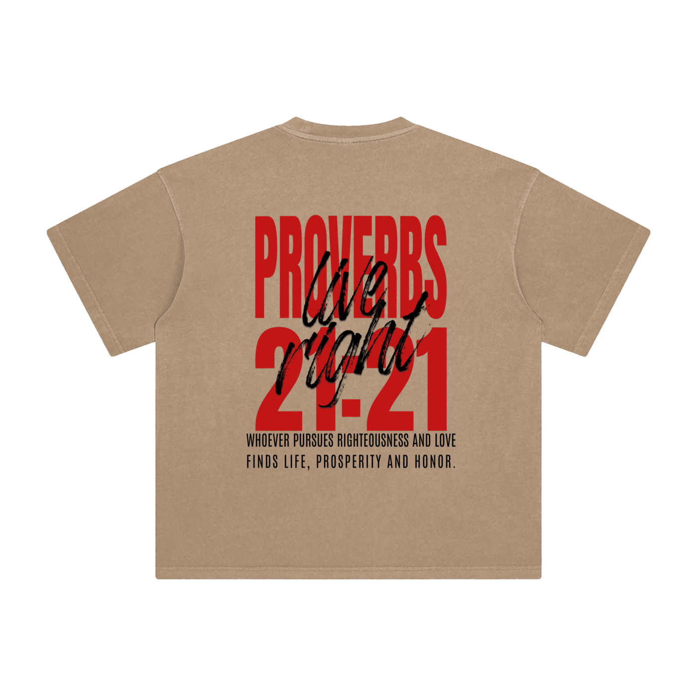 Proverbs 21:21 Vintage Washed T-Shirt